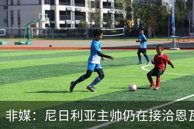 非媒：尼日利亚主帅仍在接洽恩瓦内里，希望他代表尼日利亚出战